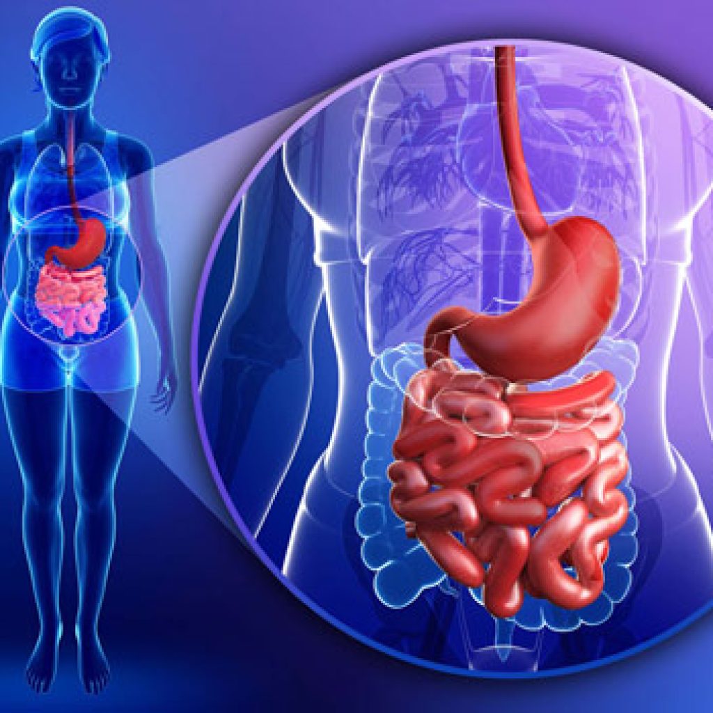 Calprotectina fecale